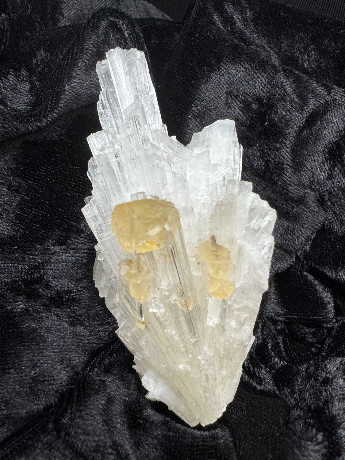 Scoleciet met Calciet