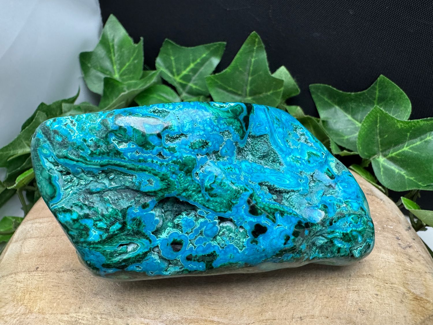 Malacolla