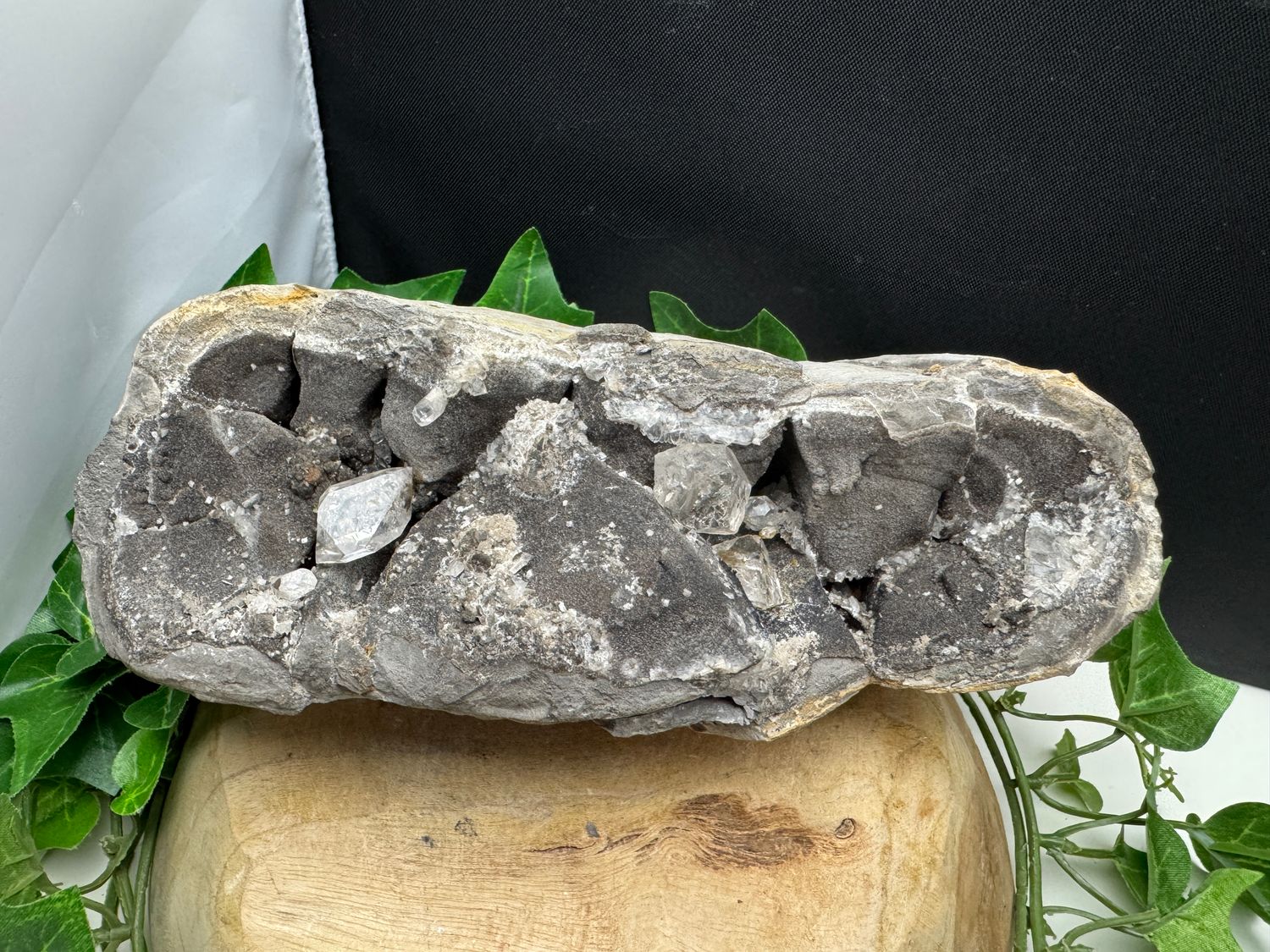 ​Mirabeau in Septarie