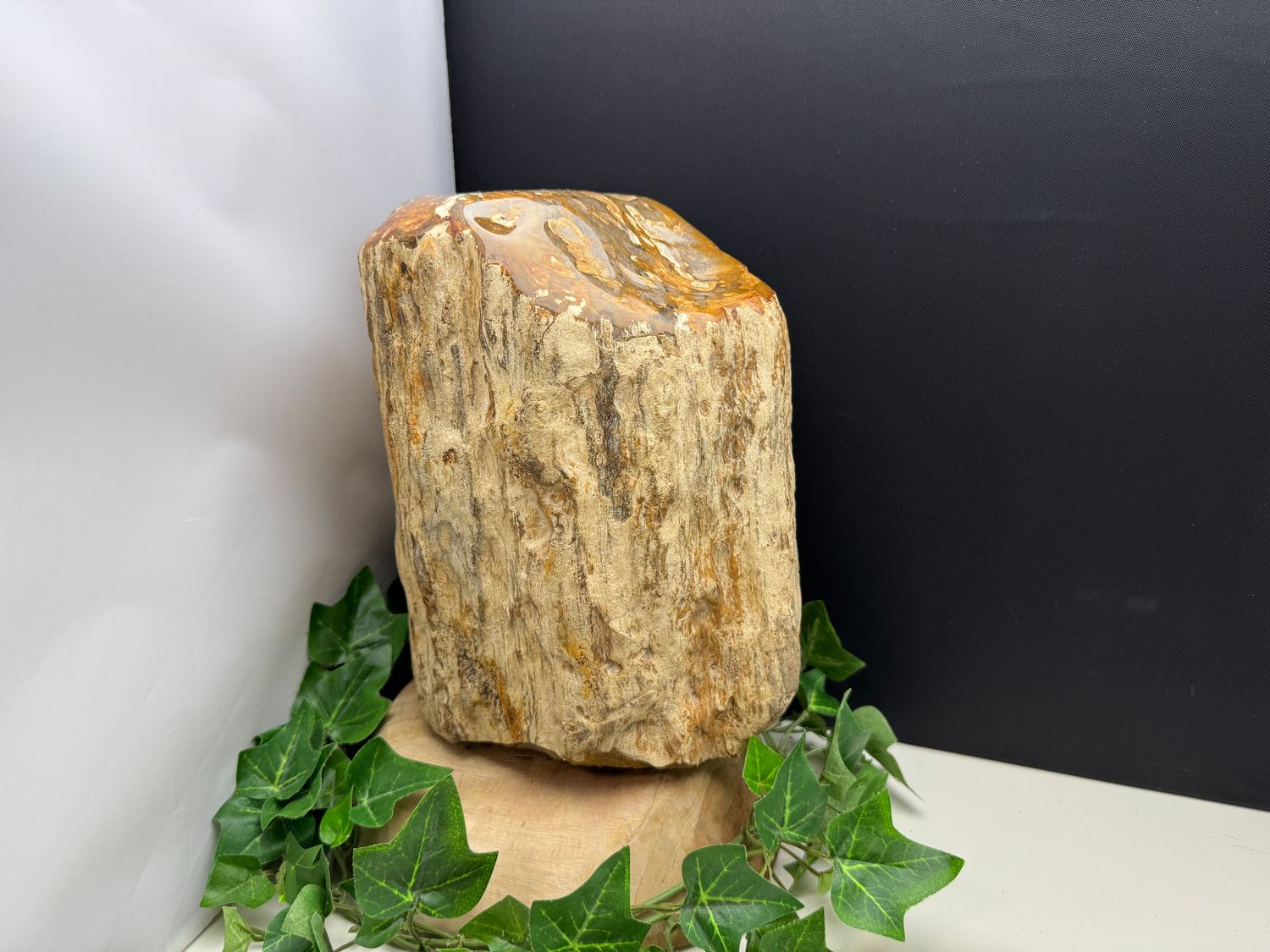 Mini urn Versteend Hout