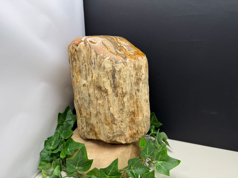 Mini urn Versteend Hout