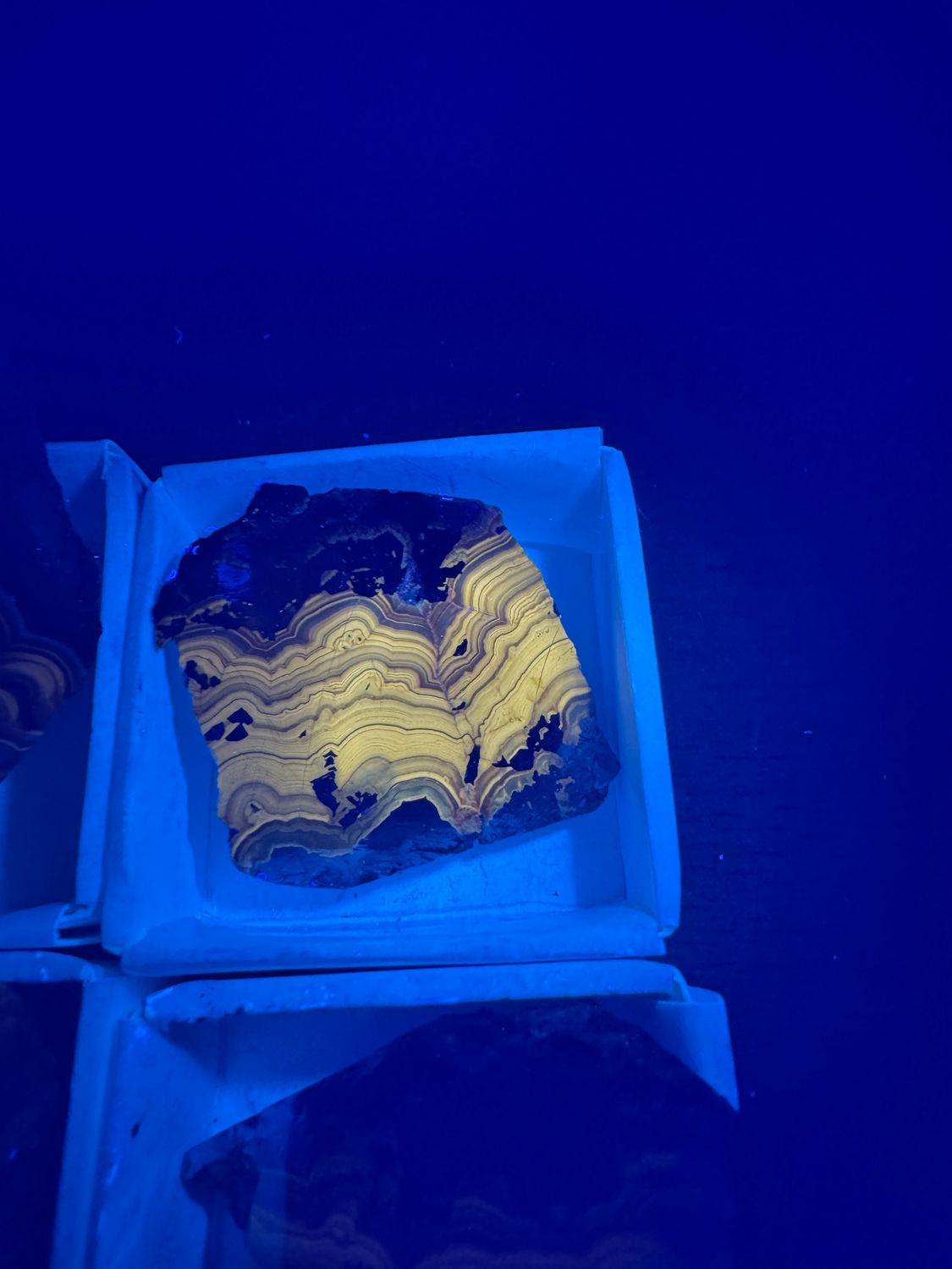 Schalenblende