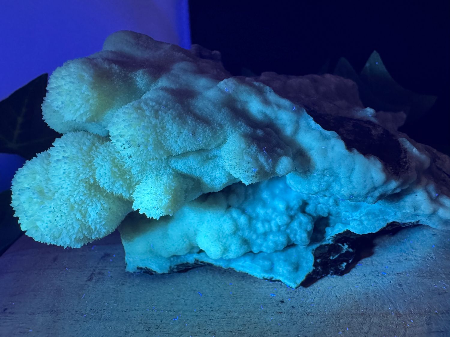 Calciet