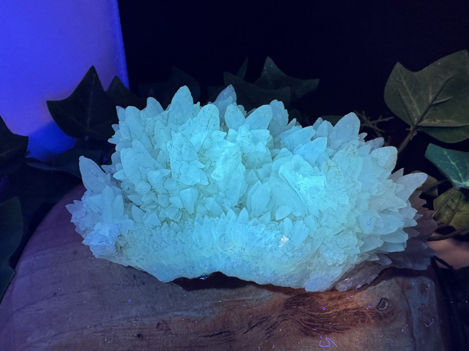 Calciet