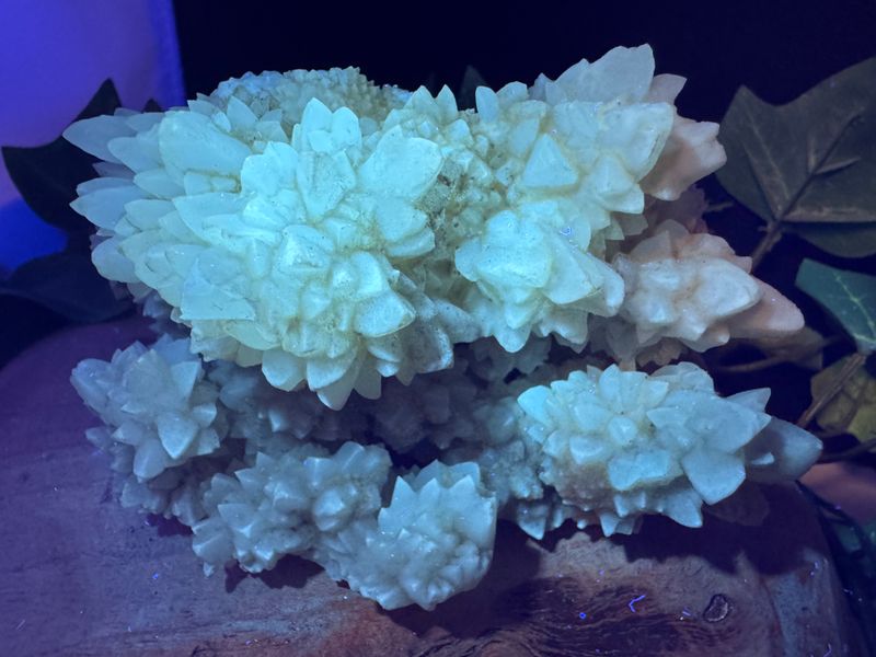 Calciet