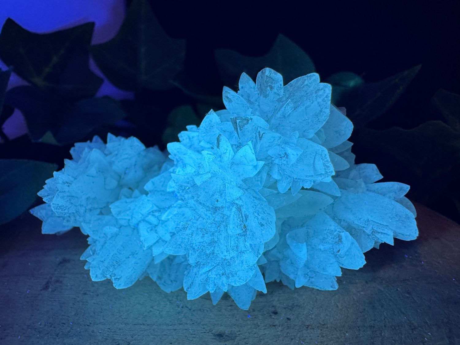 Calciet