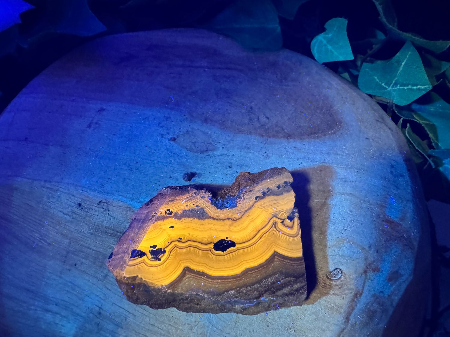 Schalenblende