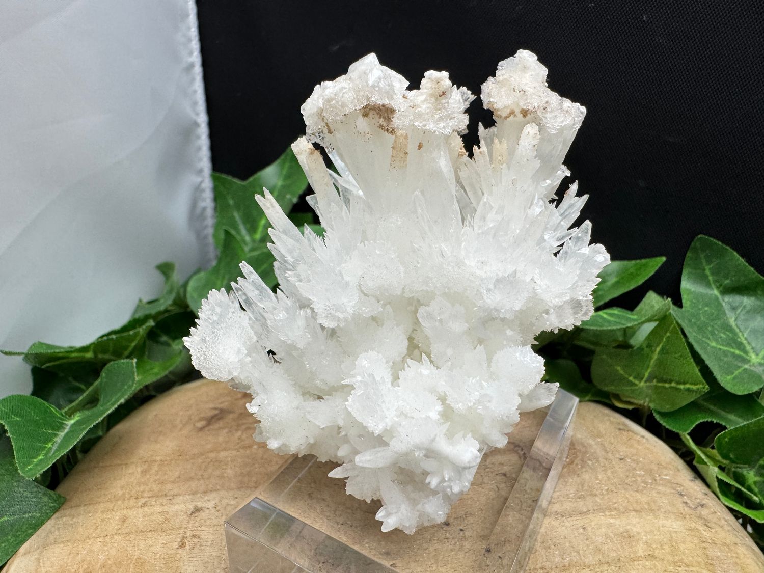 Aragoniet met Calciet