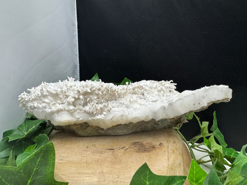 Aragoniet "Flos Ferri"