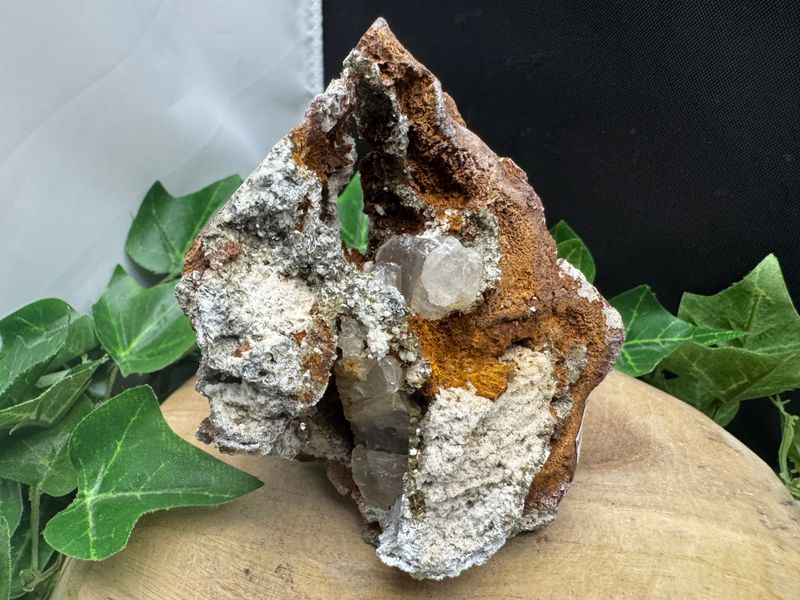 Apatiet met Muscoviet