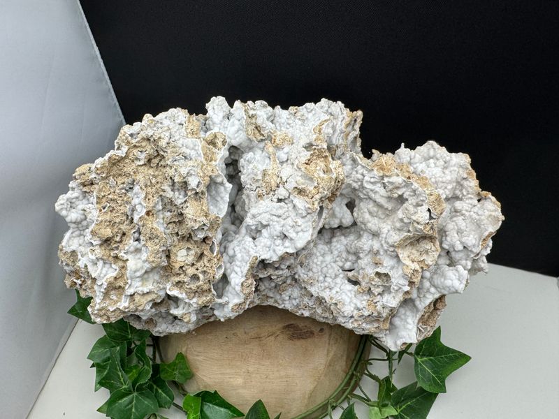 XXXL Aragoniet XXXL Aragoniet