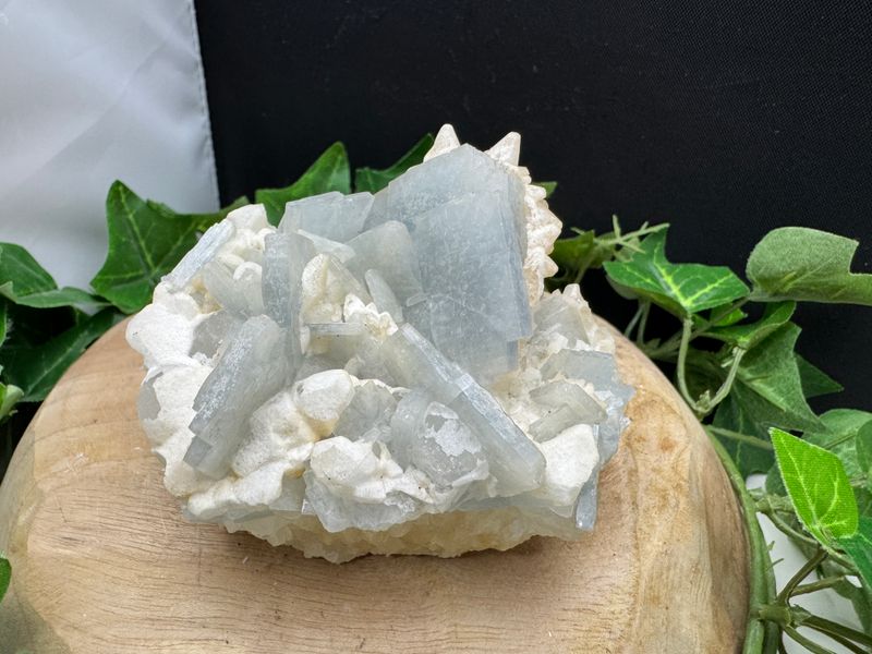 Blauwe Bariet Blauwe Bariet