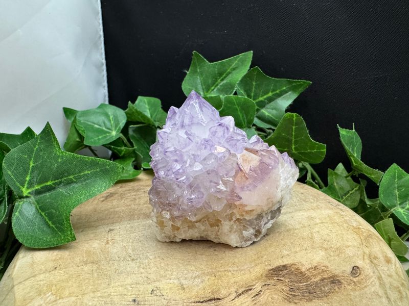 Cactus / spirit Amethist