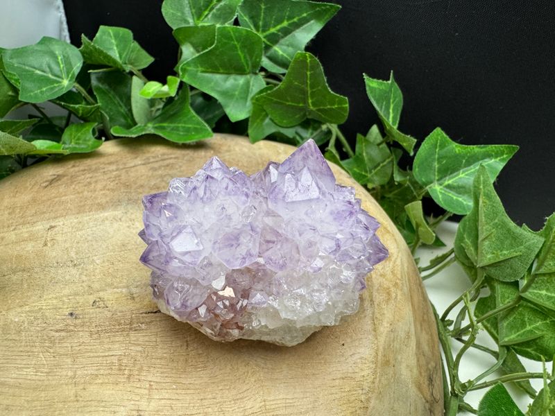 Cactus / spirit Amethist