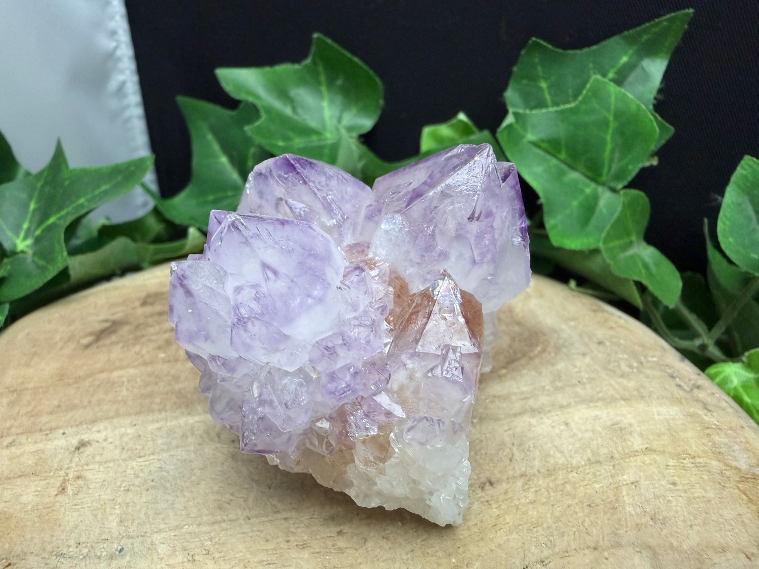 Cactus / spirit Amethist