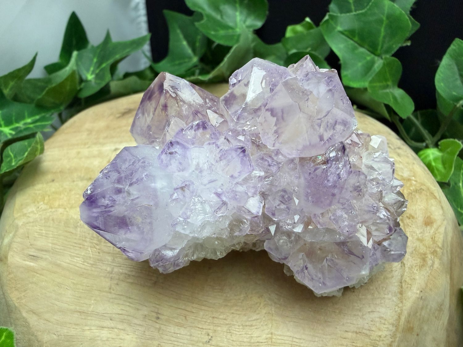 Cactus / spirit Amethist