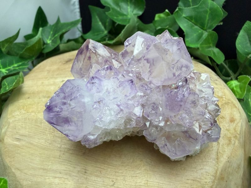 Cactus / spirit Amethist Cactus / spirit Amethist