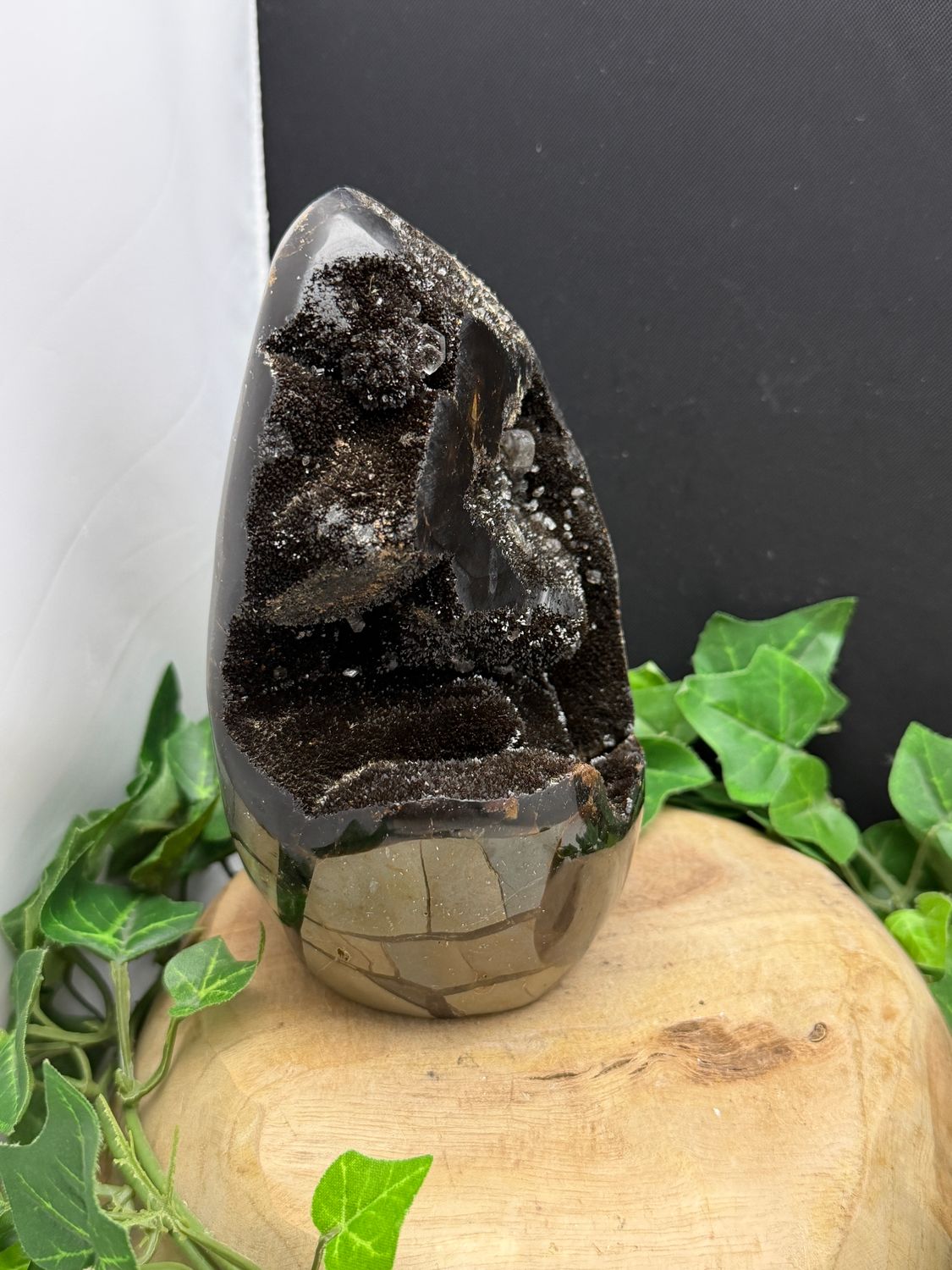 freeform Septarie freeform Septarie