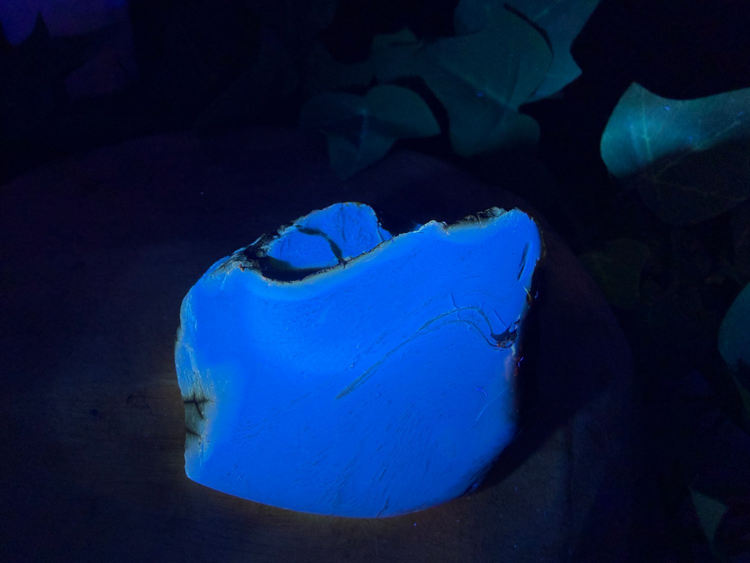 Gepolijste Blauwe Barnsteen Gepolijste Blauwe Barnsteen