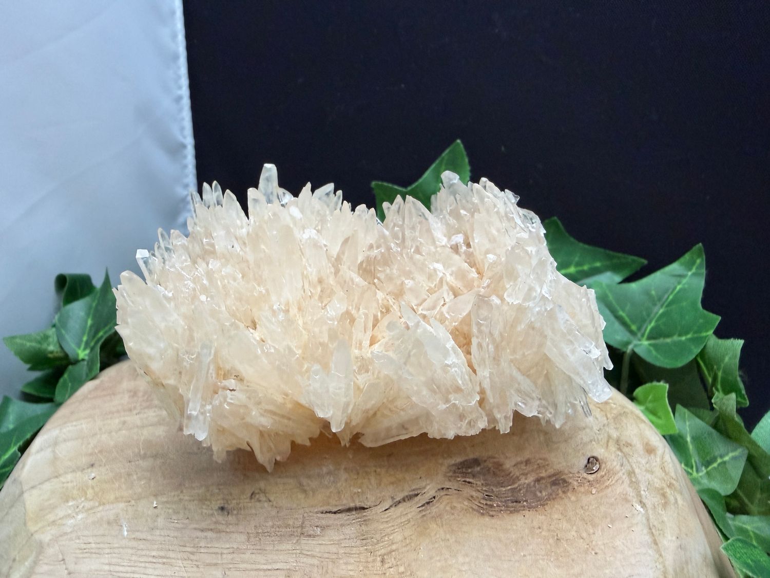 Dogtooth Calciet (dubbel) Dogtooth Calciet (dubbel)