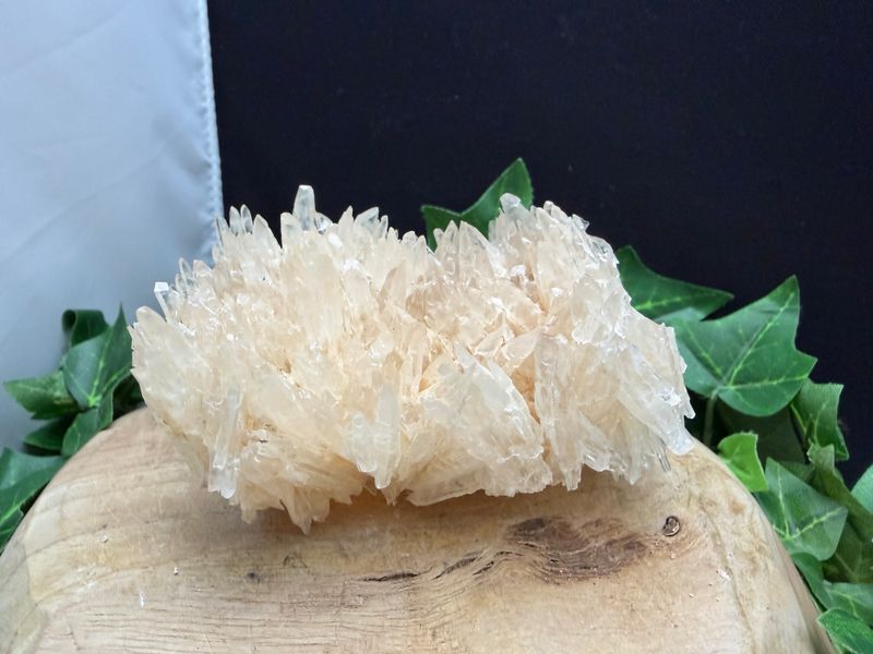 Dogtooth Calciet (dubbel)