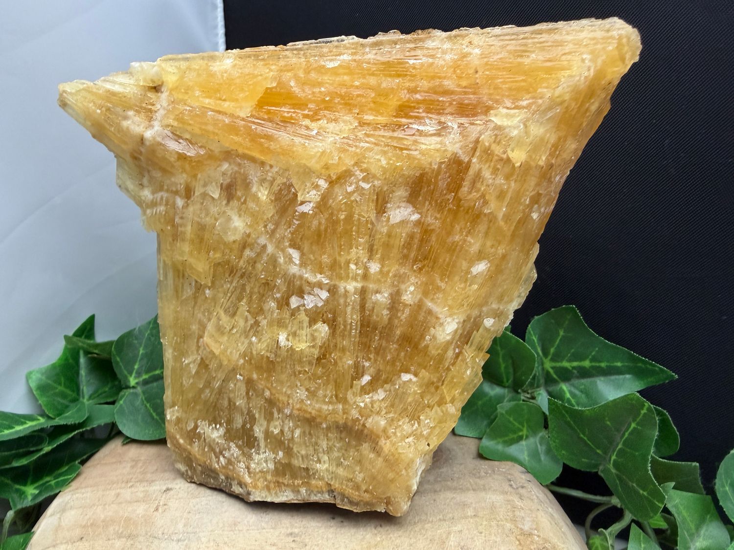 Honingcalciet Honingcalciet