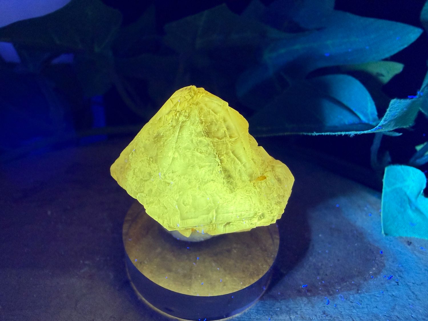 Groot Cerussiet kristal Groot Cerussiet kristal