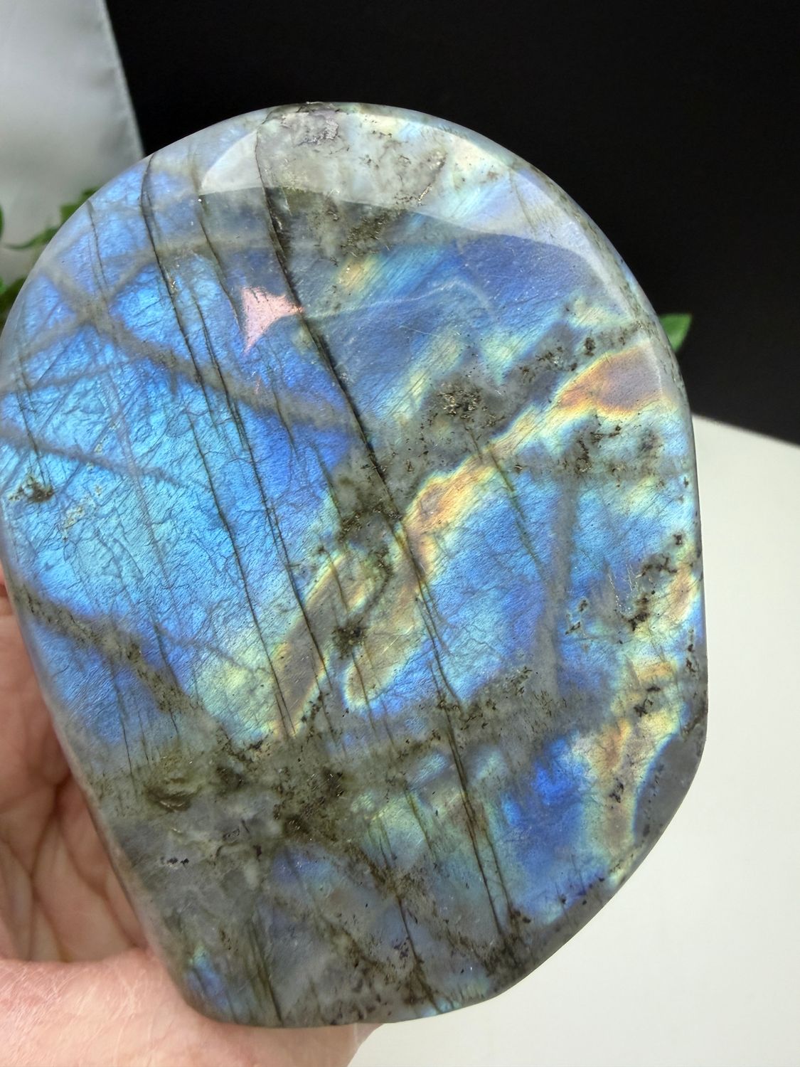 Labradoriet freeform