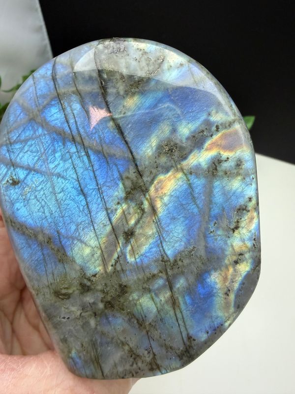 Labradoriet freeform Labradoriet freeform