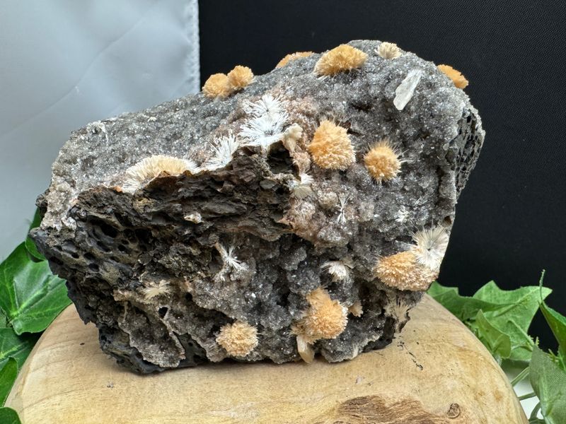 ​​Thomsoniet op zwarte Chalcedoon groot