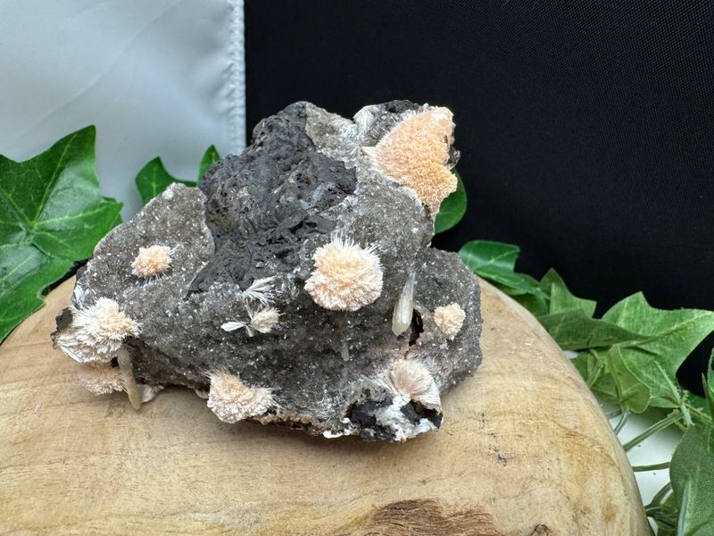 ​​Thomsoniet op zwarte Chalcedoon