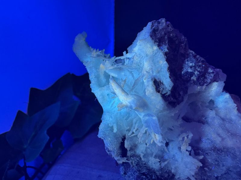 Aragoniet (flos Ferri)