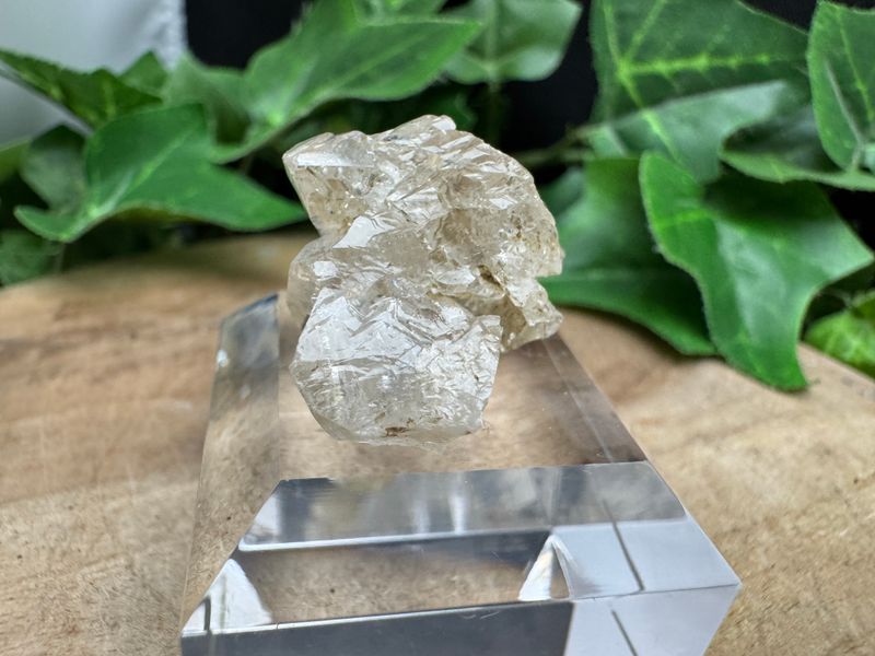 Rookkwarts op sokkel