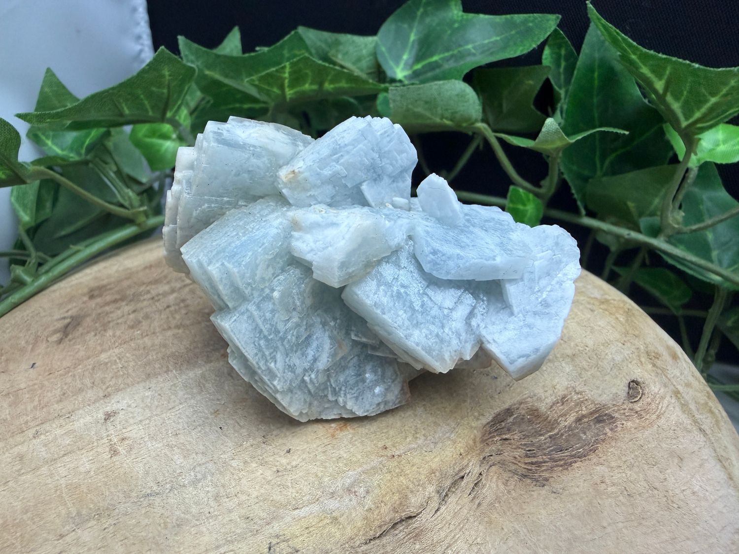 Blauwe Bariet Blauwe Bariet