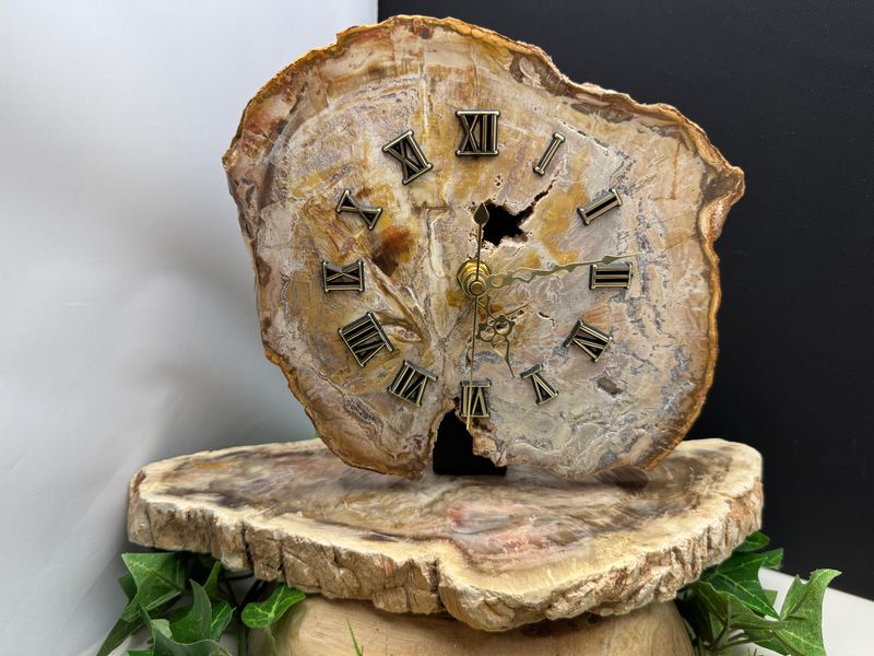 klok van Versteend Hout