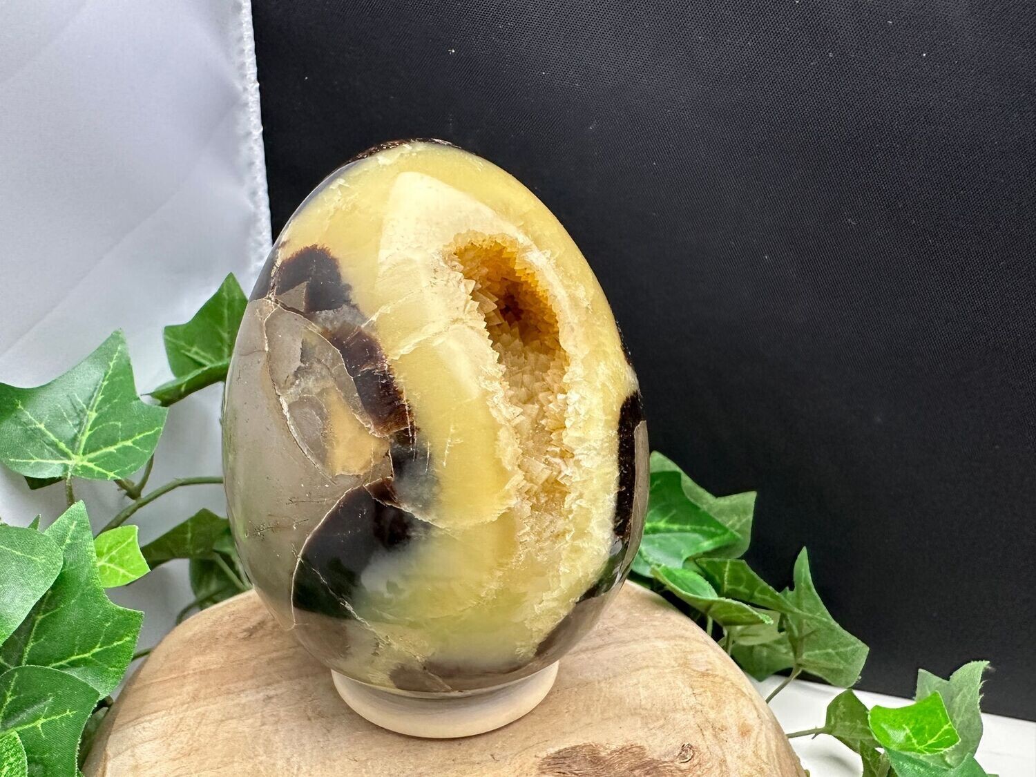 Septarie ei Septarie ei