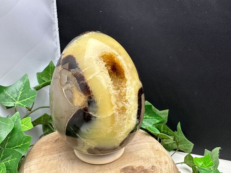 Septarie ei Septarie ei