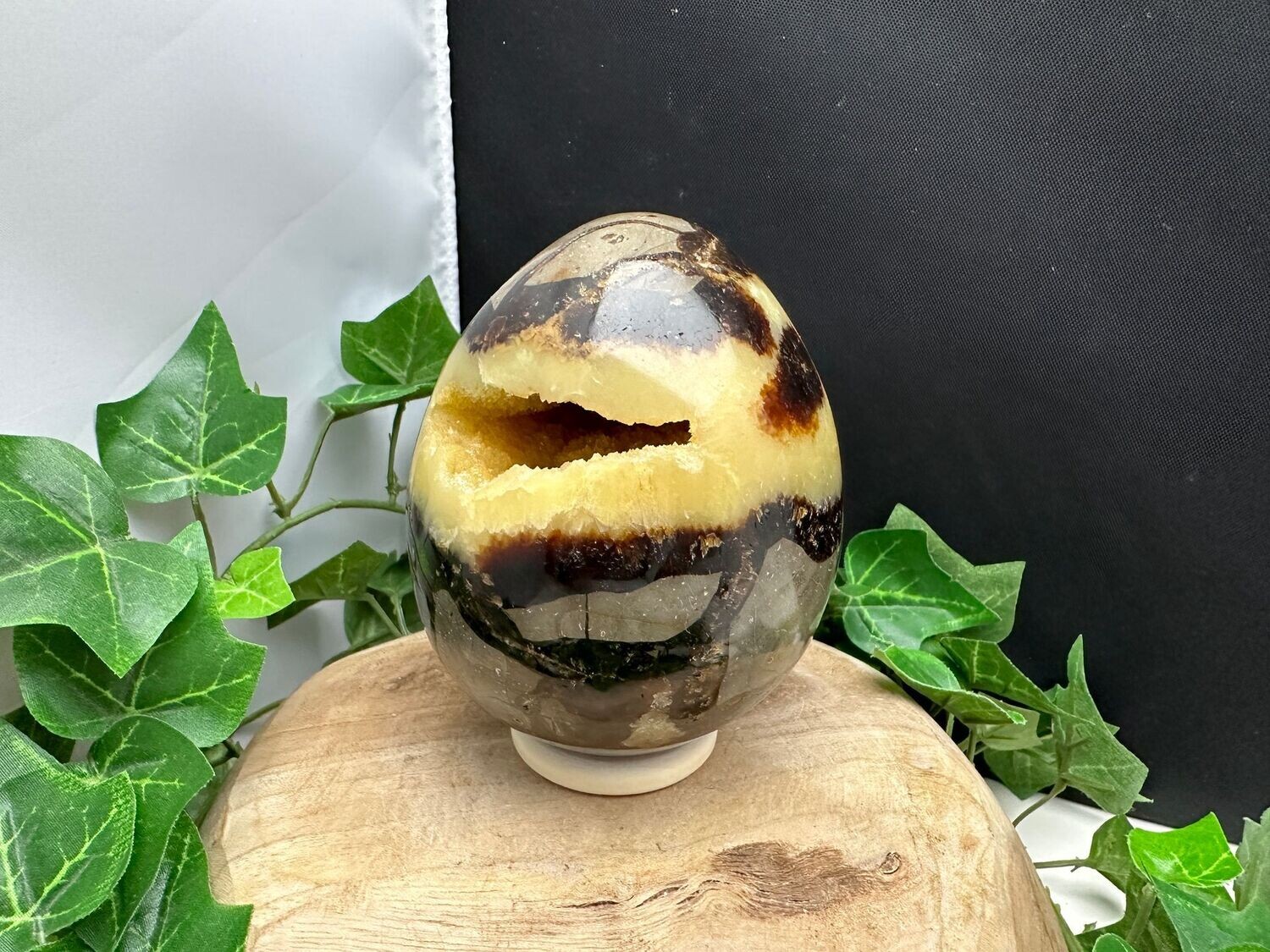 Septarie Ei Septarie Ei