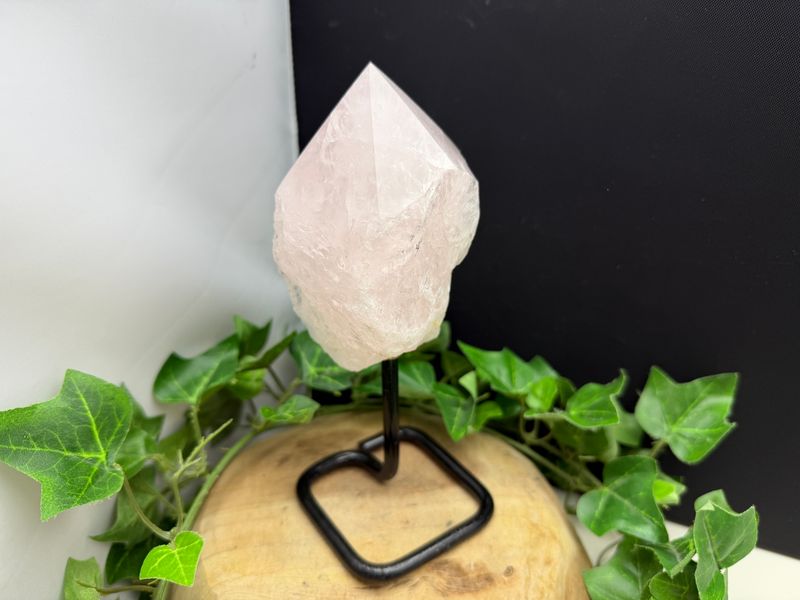 Rozenkwartspunt op standaard