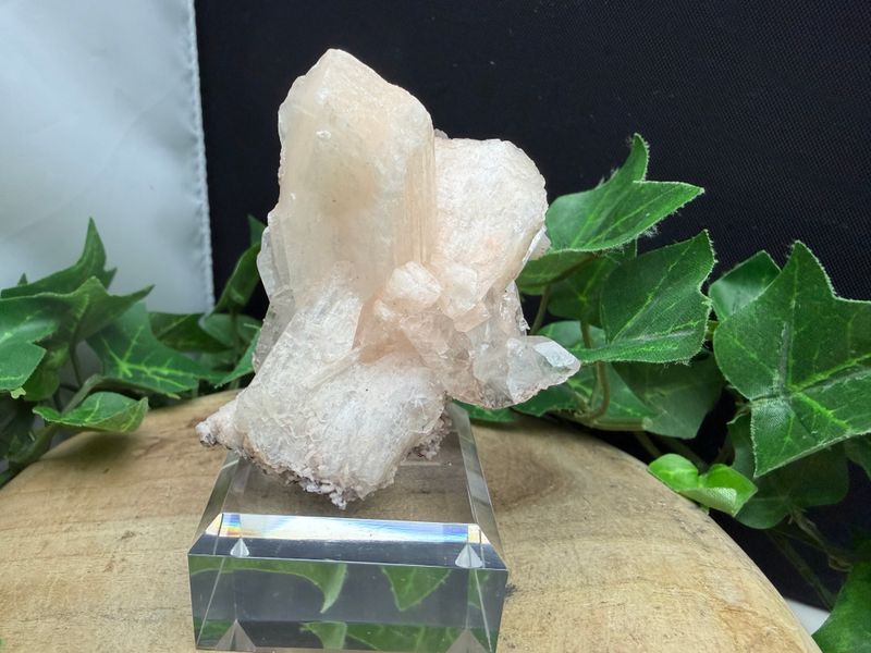 Apofyliet met Stilbiet