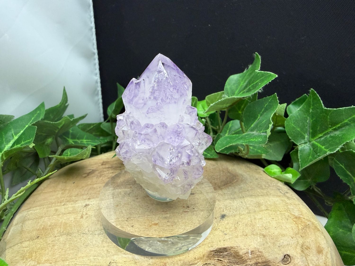 Cactus / spirit Amethist