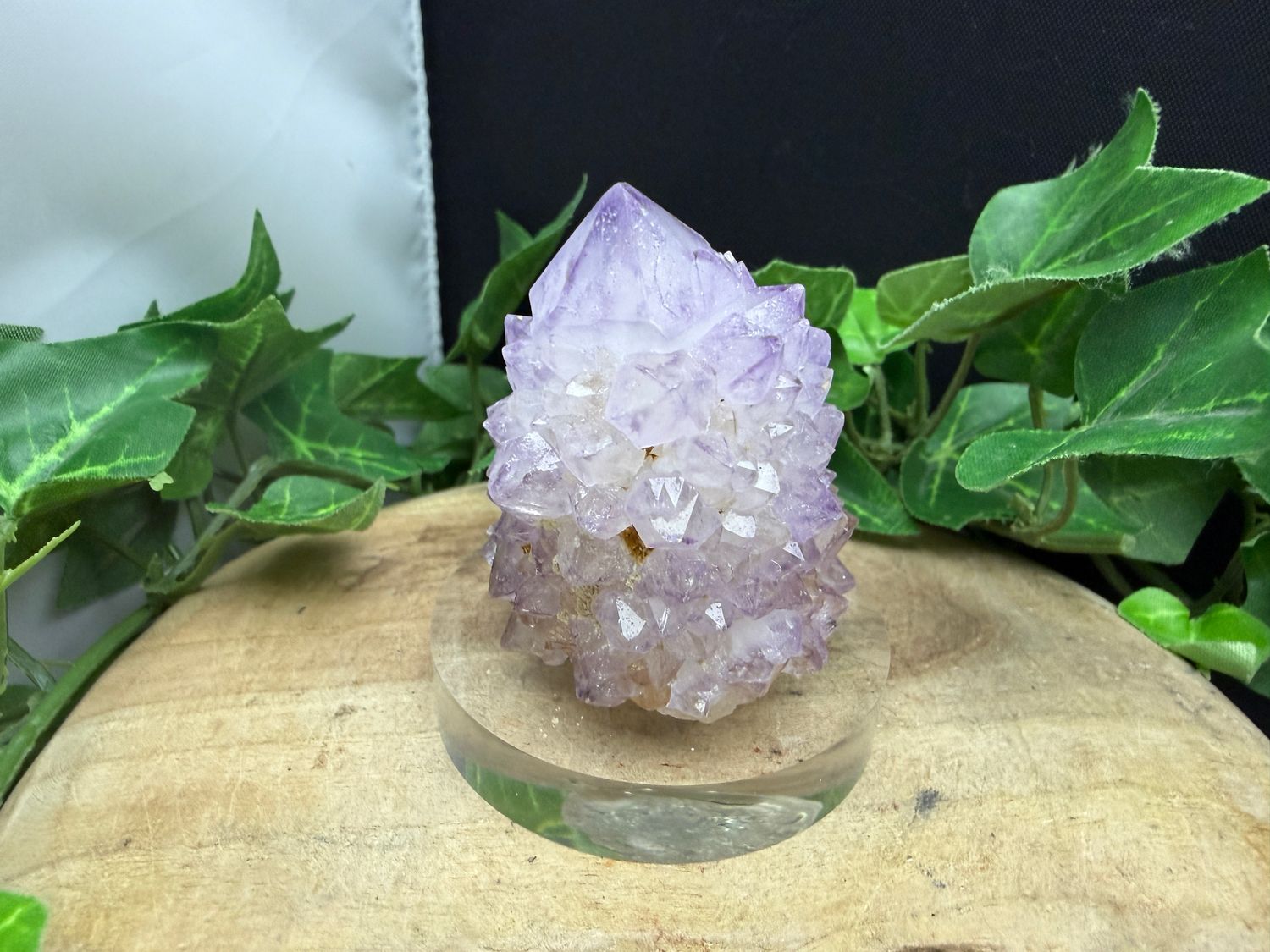 Cactus / spirit Amethist