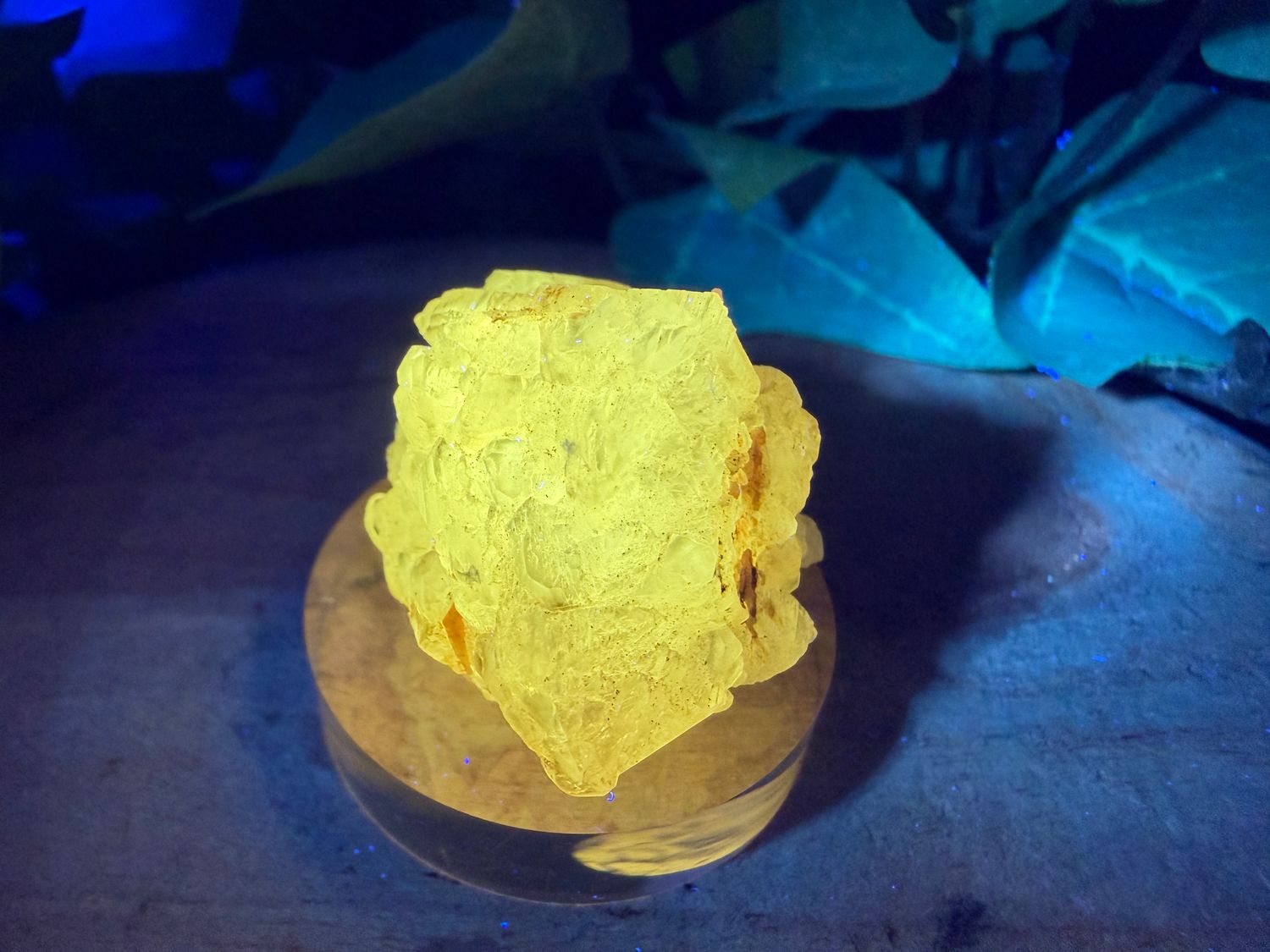 Groot Cerussiet kristal Groot Cerussiet kristal