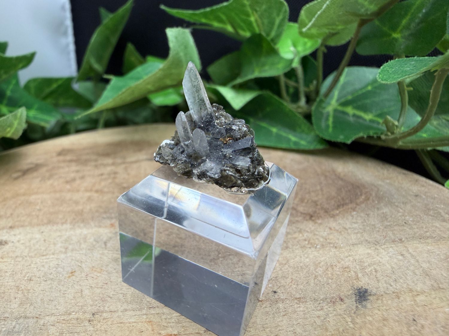 Epidoot met Naaldkwarts