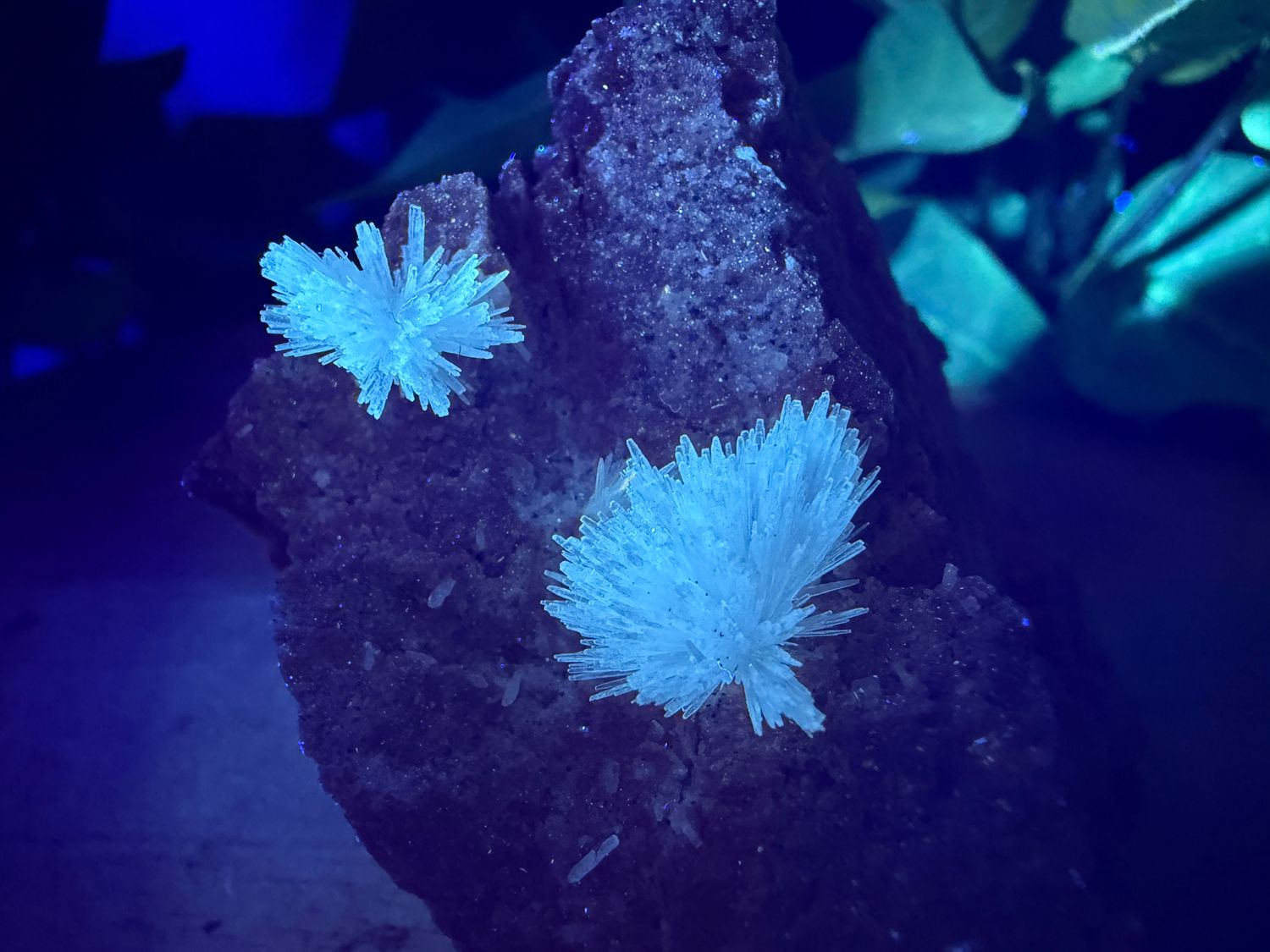 Aragoniet (naaldvormig) Aragoniet (naaldvormig)