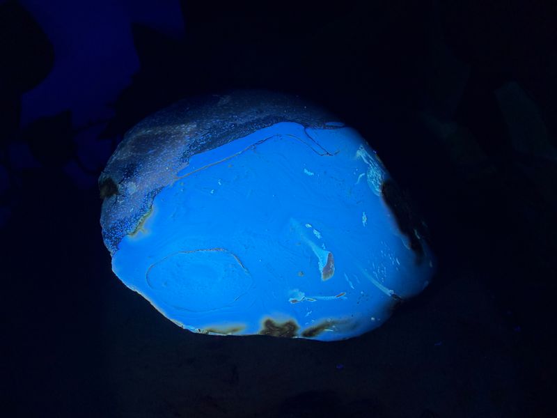 Gepolijste Blauwe Barnsteen