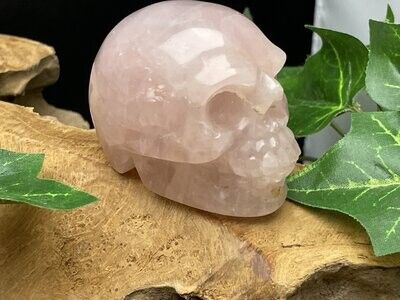 Rozenkwarts skull