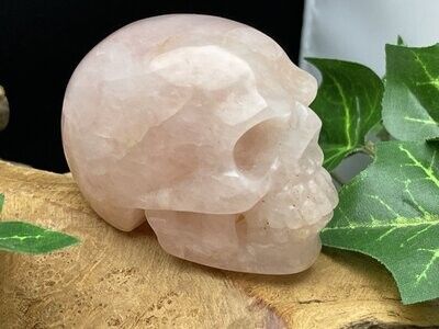 Rozenkwarts skull