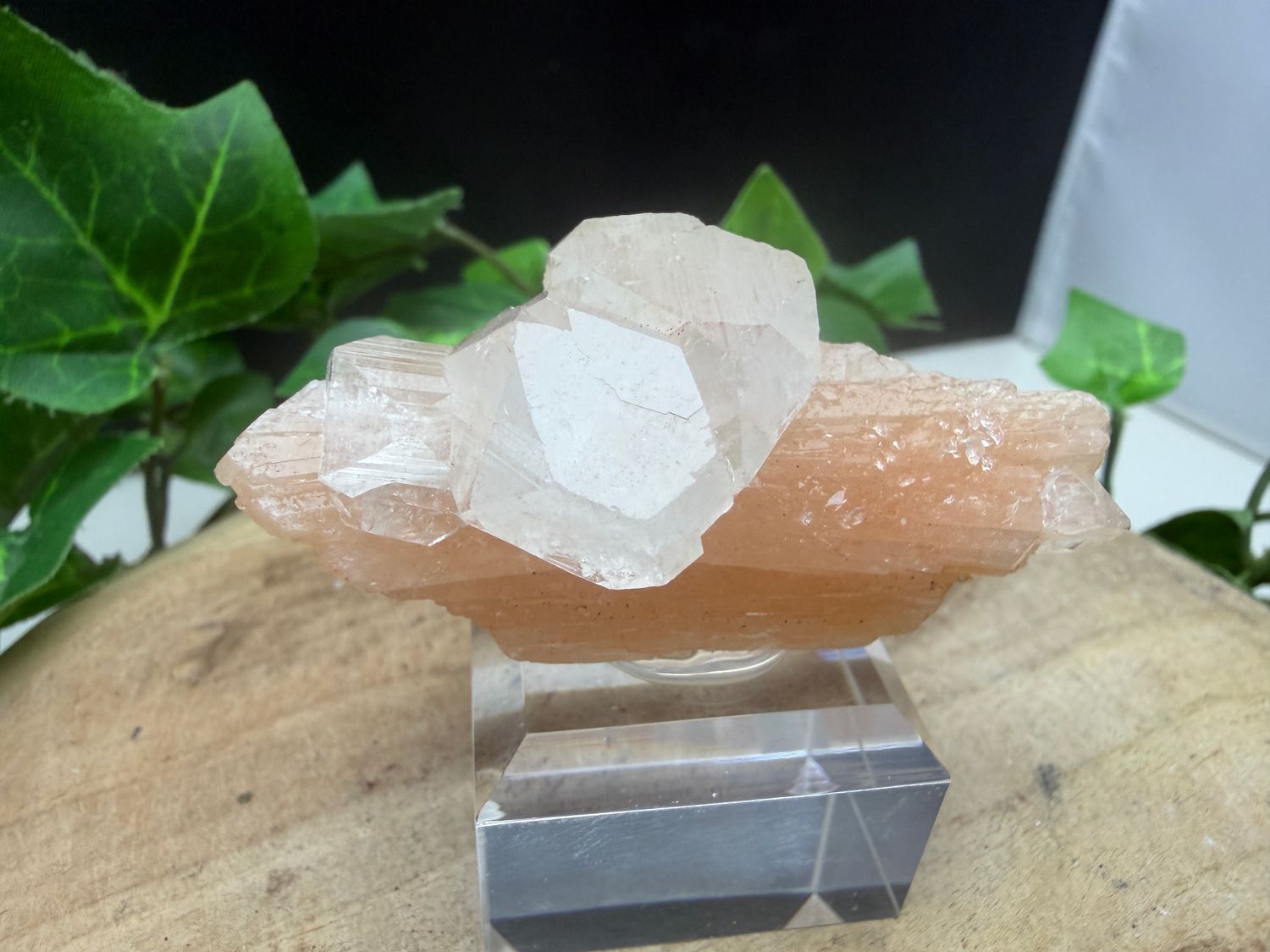 Apofyliet op Stilbiet