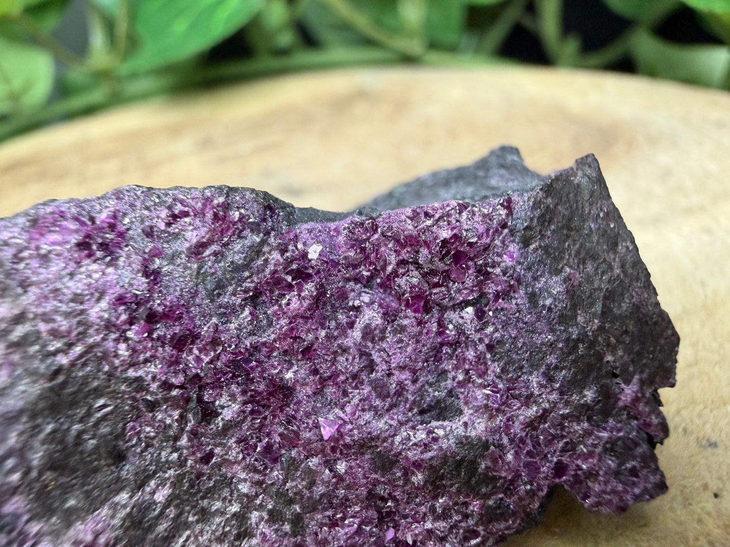 Kammereriet Kammereriet